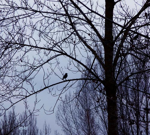 La fuerza del viento