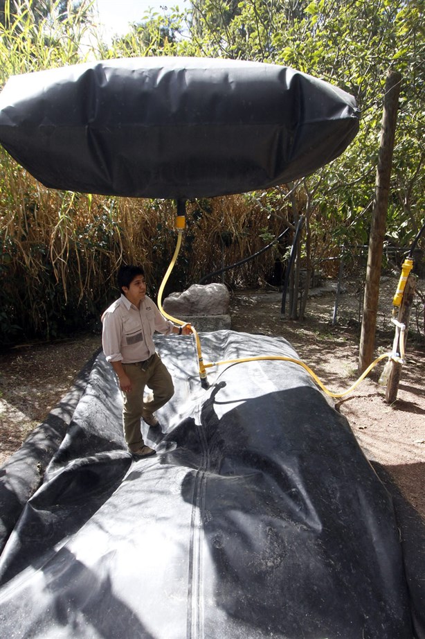 Fabrica biogás con excrementos de elefantes