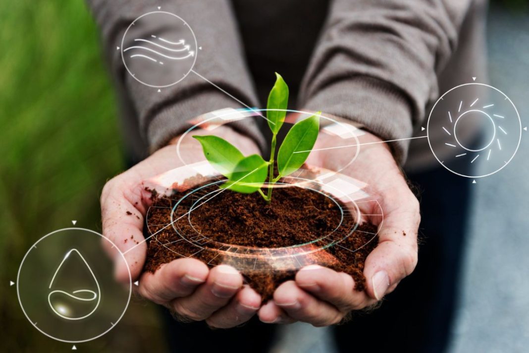 Ahorro y eficiencia energética con el uso de Biomasa