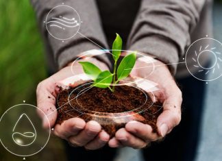 Ahorro y eficiencia energética con el uso de Biomasa