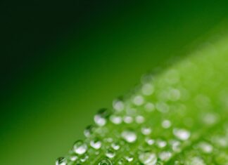 Cómo funciona la energía solar y su impacto en el medio ambiente Cómo funciona la energía solar y su impacto en el medio ambiente