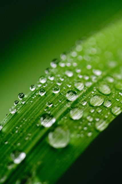 Cómo funciona la energía solar y su impacto en el medio ambiente Cómo funciona la energía solar y su impacto en el medio ambiente