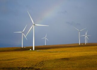 Energía eólica terrestre: aprovechando los recursos naturales para generar electricidad Energía eólica terrestre: aprovechando los recursos naturales para generar electricidad