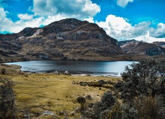 La energía de biomasa y su contribución a la reducción de la deforestación La energía de biomasa y su contribución a la reducción de la deforestación