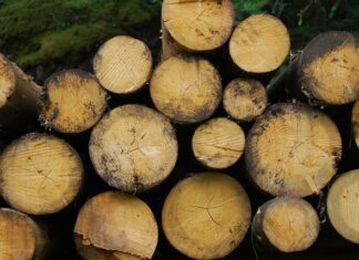 La energía de biomasa y su uso en la producción de biocombustibles La energía de biomasa y su uso en la producción de biocombustibles