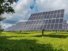 Cómo aplicar en instalaciones agrícolas y almacenar energía solar para uso nocturno eficazmente La energía mareomotriz y su potencial como fuente de energía renovable
