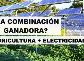 Cómo la energía renovable está cambiando la industria agrícola Cómo la energía renovable está cambiando la industria agrícola