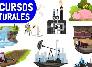 El impacto de las energías renovables en la conservación de recursos naturales El impacto de las energías renovables en la conservación de recursos naturales