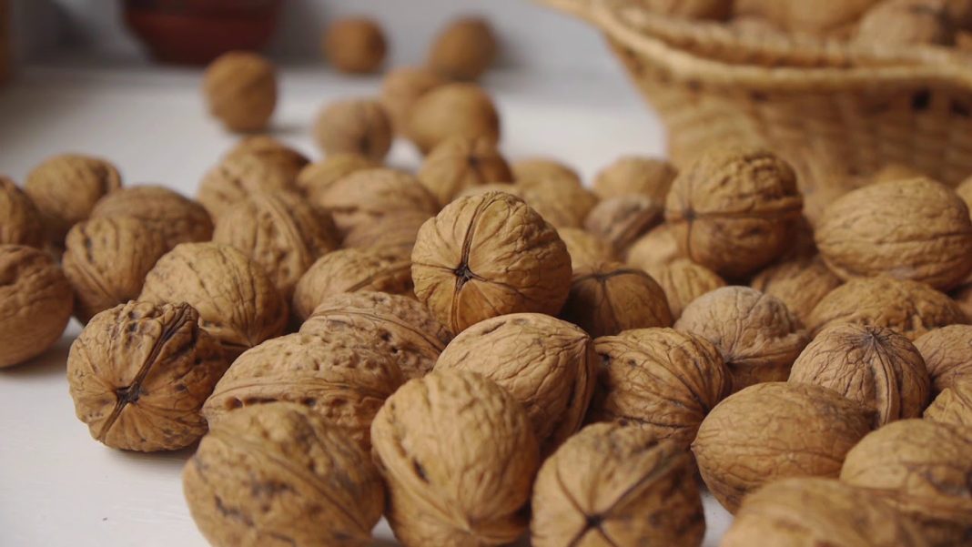 Energía renovable y su impacto en la producción de alimentos