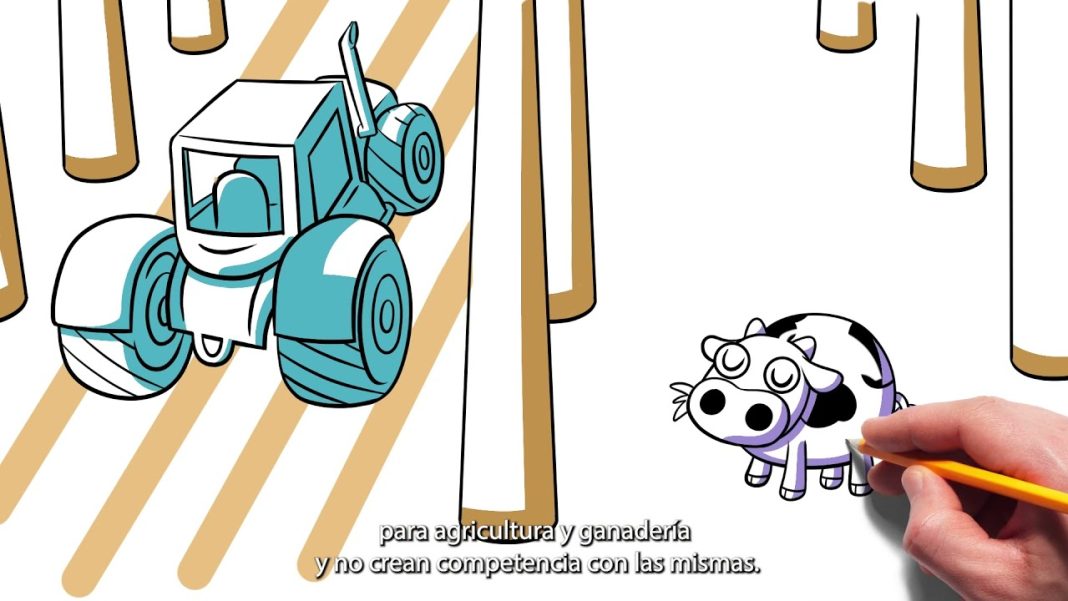 Impacto ambiental de las energías renovables: Mitos y realidades