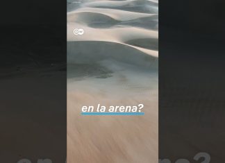 Cómo las soluciones de almacenamiento están transformando el sector de las energías renovables Cómo las soluciones de almacenamiento están transformando el sector de las energías renovables