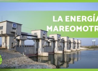 Beneficios de la energía mareomotriz para empresas costeras Beneficios de la energía mareomotriz para empresas costeras