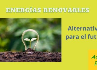 Cómo las energías renovables están cambiando el panorama de la generación eléctrica Cómo las energías renovables están cambiando el panorama de la generación eléctrica