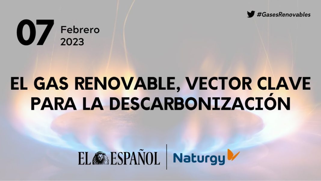 El papel de las energías renovables en la descarbonización del sector del transporte