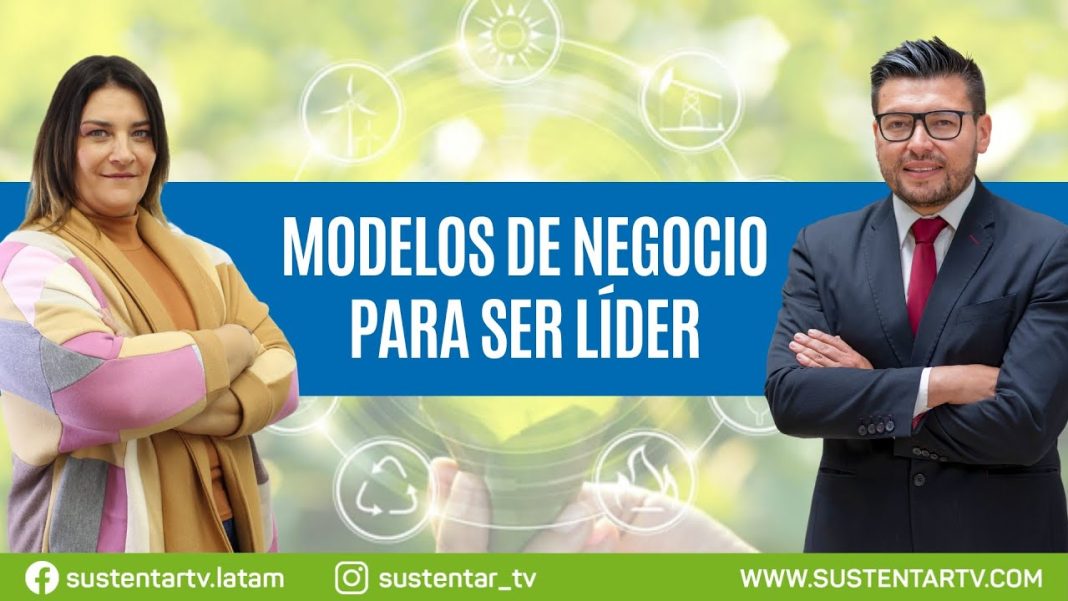 Cómo las empresas pueden ser líderes en sostenibilidad mediante energías renovables