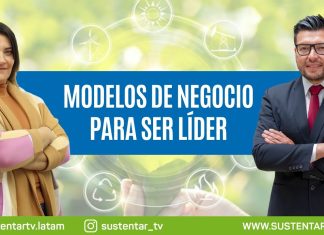 Cómo las empresas pueden ser líderes en sostenibilidad mediante energías renovables Cómo las empresas pueden ser líderes en sostenibilidad mediante energías renovables