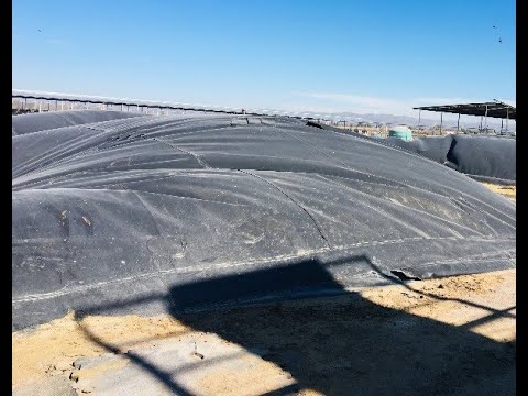 Cómo los avances en tecnología están mejorando la eficiencia en la generación de biogás