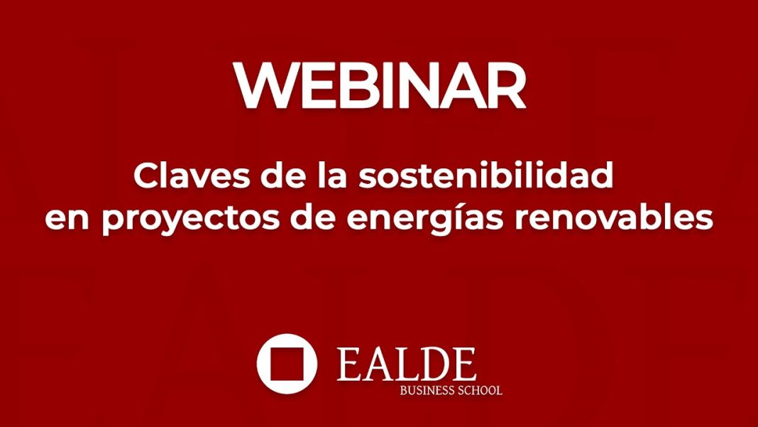 Aspectos críticos en la evaluación de la sostenibilidad a largo plazo en proyectos de energía renovable