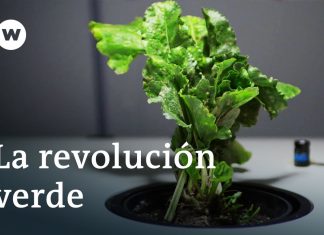 Cómo las tecnologías de energía renovable están mejorando la sostenibilidad en el sector agroindustrial Cómo las tecnologías de energía renovable están mejorando la sostenibilidad en el sector agroindustrial