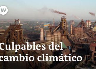 El papel de las energías renovables en la reducción de la huella de carbono en la industria pesada El papel de las energías renovables en la reducción de la huella de carbono en la industria pesada