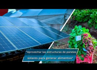 Cómo las energías renovables están revolucionando el sector de la producción de alimentos Cómo las energías renovables están revolucionando el sector de la producción de alimentos