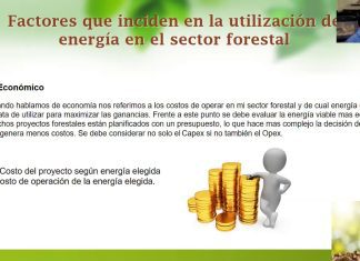 Estrategias para la optimización de la generación de energía renovable en el sector forestal Estrategias para la optimización de la generación de energía renovable en el sector forestal