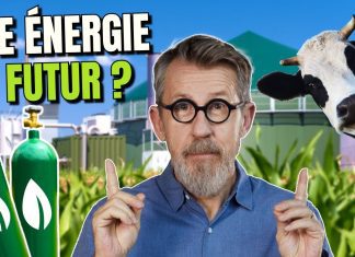 Todo lo que Necesitas Saber sobre la Energía Renovable Biodiesel: Beneficios, Producción y Futuro energia renovable biodiesel