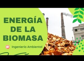 Ventajas de la Energía Renovable de Biomasa: Beneficios y Oportunidades para un Futuro Sostenible energia renovable biomasa ventajas y desventajas