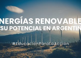 Energía Renovable en Argentina: Avances, Proyectos y Futuro Sostenible energía renovable argentina