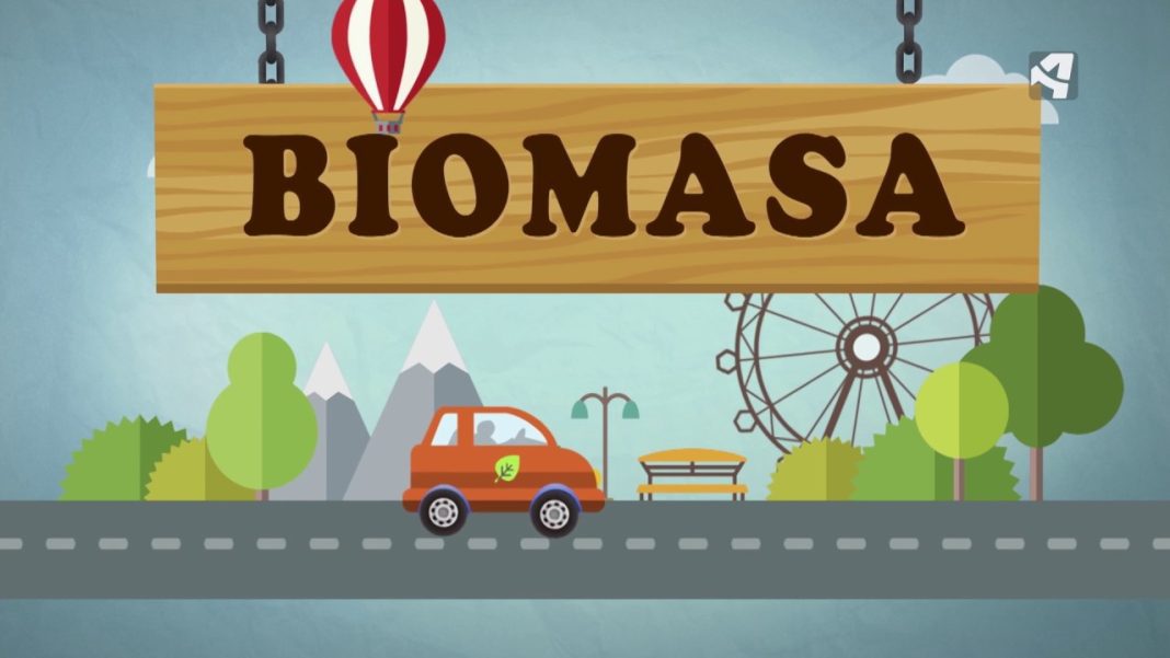 Biomasa: Maqueta de Energía Renovable para Entender su Funcionamiento