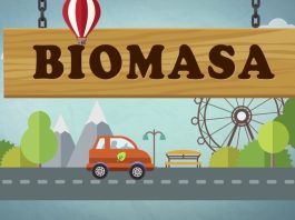 Biomasa: Maqueta de Energía Renovable para Entender su Funcionamiento biomasa maqueta energia renovable