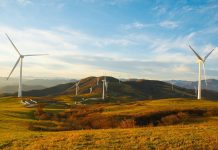 El impacto positivo de la transición ecológica en proyectos estratégicos sostenibles