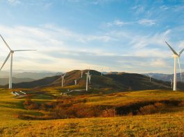 El impacto positivo de la transición ecológica en proyectos estratégicos sostenibles