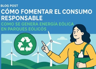 Cómo fomentar el consumo responsable a través de la energía eólica en parques eólicos cómo fomentar el consumo responsable de Cómo se genera energía eólica en parques eólicos