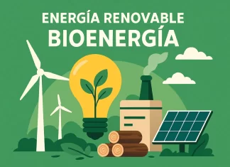 Energía Renovable Bioenergía: Guía Completa para Aprovechar Recursos Sostenibles energia renovable bioenergia