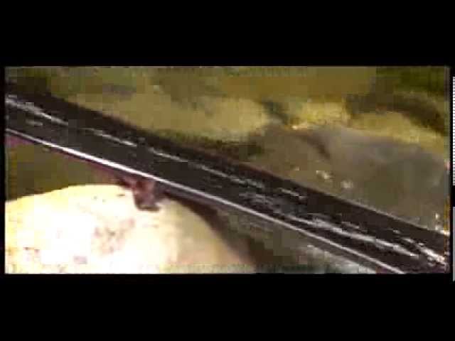 Todo sobre la Energía Renovable en Honduras: Oportunidades y Desafíos