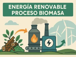 energia renovable proceso biomasa