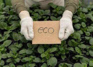 Uso de plásticos biodegradables en la agricultura moderna y su impacto positivo