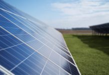 Paneles solares impulsan telecomunicaciones más sostenibles en todo el mundo Solar panels angled across a grassy field under a clear blue sky, harvesting sunlight for renewable energy.