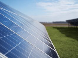 Solar panels angled across a grassy field under a clear blue sky, harvesting sunlight for renewable energy.