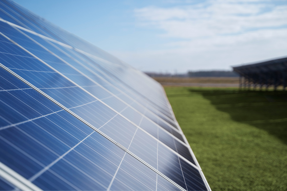 Solar panels angled across a grassy field under a clear blue sky, harvesting sunlight for renewable energy.
