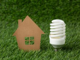 Cardboard house model beside an energy-saving compact fluorescent light bulb on green grass.