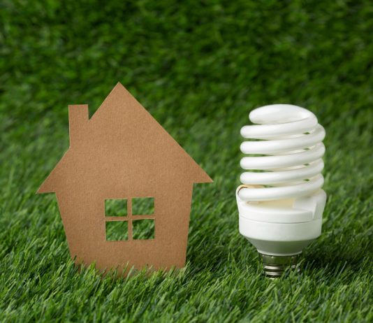 La eficiencia energética gana protagonismo en los hogares y las ciudades Cardboard house model beside an energy-saving compact fluorescent light bulb on green grass.
