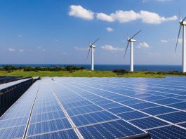 Rows of solar panels extend toward the horizon with three wind turbines on a grassy ridge and the sea in the background.